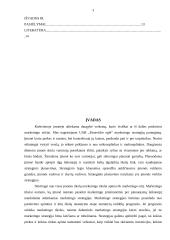 Marketingo strategijos parengimas: UAB "Panevėžio eglė" 3 puslapis