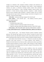 Marketingo strategijos parengimas: UAB "Panevėžio eglė" 4 puslapis