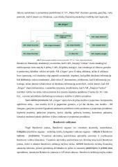 „Grigeo“ socialinės atsakomybės komunikacijos analizė  3 puslapis