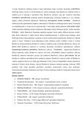 „Grigeo“ socialinės atsakomybės komunikacijos analizė  4 puslapis