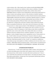 Naujienų portalo 15min.lt socialinės atsakomybės analizė  4 puslapis