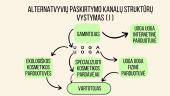 Prekės ženklo „Uoga uoga“ pasiskirstymo kanalai 6 puslapis
