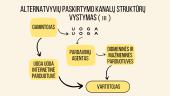 Prekės ženklo „Uoga uoga“ pasiskirstymo kanalai 8 puslapis