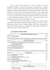 Franšizės pirkimo ir pardavimo sąlygų gerinimo Lietuvoje programa restoranų tinklo „Bernelių užeiga“ pavyzdžiu 19 puslapis