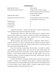 Franšizės pirkimo ir pardavimo sąlygų gerinimo Lietuvoje programa restoranų tinklo „Bernelių užeiga“ pavyzdžiu 2 puslapis