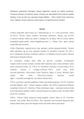 Šventasis Kristoforas – Vilniaus globėjas 2 puslapis