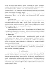 Mašinų gamybos ir remonto technologija 4 puslapis