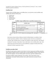 Konfliktų pristatymas 3 puslapis