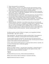 Konfliktų pristatymas 4 puslapis