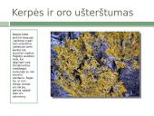 Skaidrės. Kerpės 3 puslapis