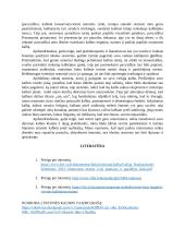 Idealus oratorius ir aš 2 puslapis