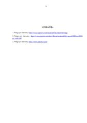 Įmonės „Pepsico“ socialinės atsakomybės analizė  11 puslapis