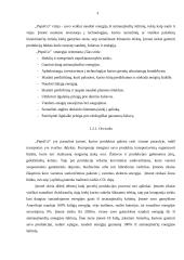 Įmonės „Pepsico“ socialinės atsakomybės analizė  4 puslapis