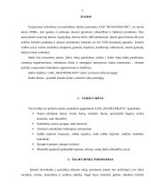 UAB „Skaniaiskanu“ įėjimo į užsienio rinką strategija 2 puslapis