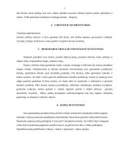 UAB „Skaniaiskanu“ įėjimo į užsienio rinką strategija 4 puslapis