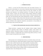 UAB „Skaniaiskanu“ įėjimo į užsienio rinką strategija 5 puslapis