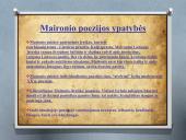 Jonas Mačiulis – Maironis. Skaidrės 4 puslapis