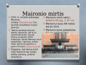 Jonas Mačiulis – Maironis. Skaidrės 8 puslapis