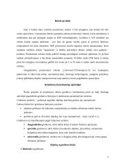 Mechatroninių ir CAD/CAM sistemų projektavimas 5 puslapis