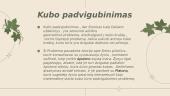 Kubas 3 puslapis