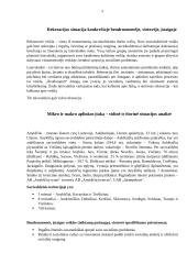 Profesionalaus laisvalaikio organizavimo reikšmė socialiai pažeidžiamiems klientams Anykščių bendruomenėje 2 puslapis