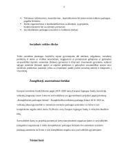 Profesionalaus laisvalaikio organizavimo reikšmė socialiai pažeidžiamiems klientams Anykščių bendruomenėje 3 puslapis