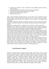 Profesionalaus laisvalaikio organizavimo reikšmė socialiai pažeidžiamiems klientams Anykščių bendruomenėje 6 puslapis