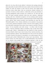 Michelangelo 2 puslapis