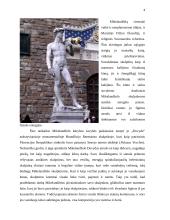 Michelangelo 4 puslapis