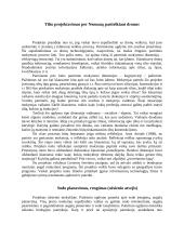 Tilto projektavimas per Nemuną pasitelkiant dronus ir sodo planavimas, rengimas (užsienio atvejis)