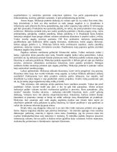 Tilto projektavimas per Nemuną pasitelkiant dronus ir sodo planavimas, rengimas (užsienio atvejis) 2 puslapis