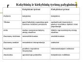 Kokybiniai ir kiekybiniai metodai (skaidrės) 15 puslapis