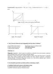 Mikroekonomika. Namų darbas 5 puslapis