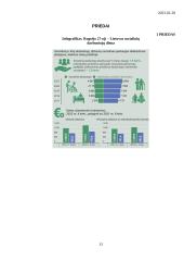 Socialinis darbas. Referatas 13 puslapis