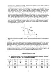 Gamybos apimtys, kaštai 5 puslapis