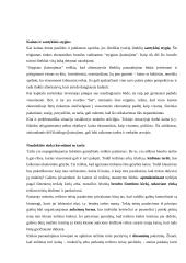 Bendrasis ir ribinis naudingumas bei rinkos ekonomika 5 puslapis