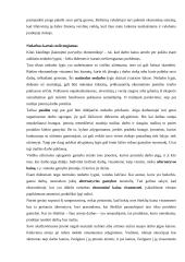 Bendrasis ir ribinis naudingumas bei rinkos ekonomika 8 puslapis