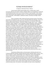 Ką žmogus atranda prarasdamas? Kalba su planu 3 puslapis