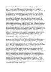 Ką žmogus atranda prarasdamas? Kalba su planu 4 puslapis