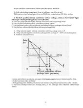 Mikroekonomika apie masto ekonomiją 13 puslapis
