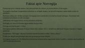 Norvegija. Skaidrės 13 puslapis