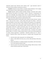 Mikroekonomika - rinkos monopolizavimas 8 puslapis