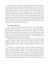 Prometėjizmas Jurgio Baltrušaičio ir Giovanni’o Papini’o kūryboje 14 puslapis