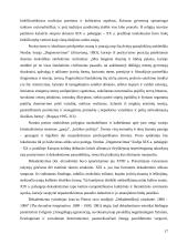 Prometėjizmas Jurgio Baltrušaičio ir Giovanni’o Papini’o kūryboje 15 puslapis