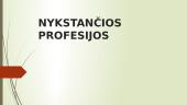 Išnykusios ir nykstančios profesijos 11 puslapis