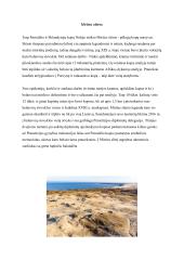 Ekskursijos į Nidą projektas 4 puslapis