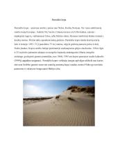 Ekskursijos į Nidą projektas 5 puslapis