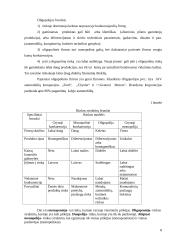 Mikroekonomikos ir makroekonomikos kontrolinis darbas 8 puslapis