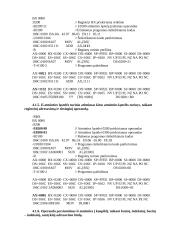 Mikroprocesoriai ir mikroprocesorinės sistemos 11 puslapis