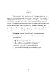 Lyčių stereotipai šeimoje ir visuomenėje 2 puslapis